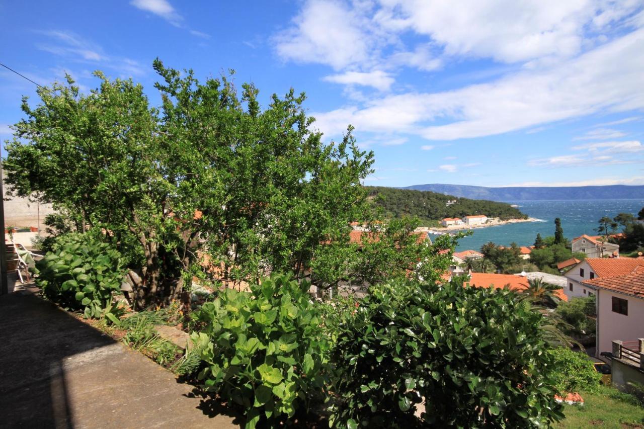 Apartments And Rooms With Parking Space Jelsa, Hvar - 8798 Guest house Jelsa (Hvar)