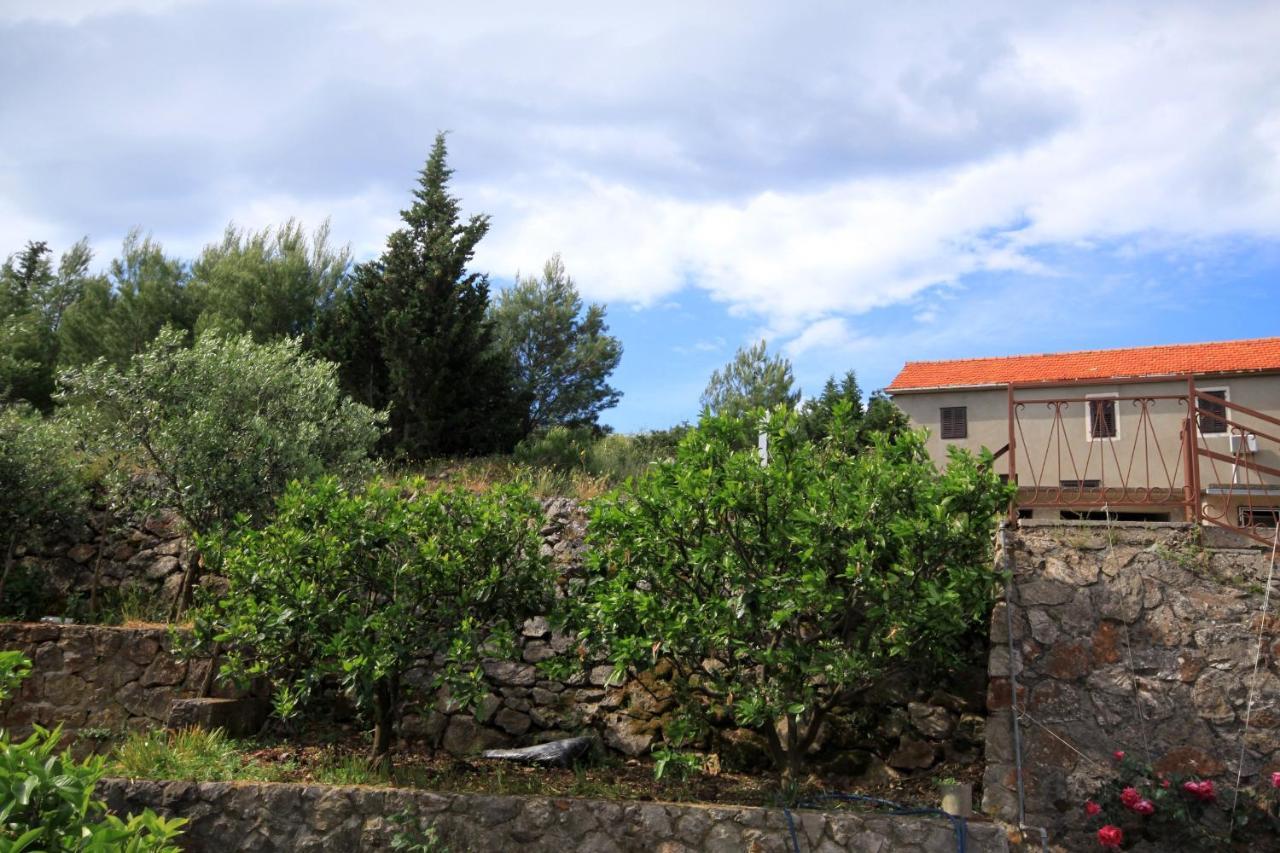 Apartments And Rooms With Parking Space Jelsa, Hvar - 8798